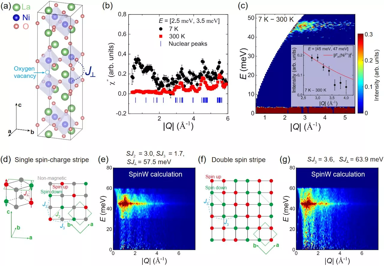 Strong interlayer magnetic exchange coupling in La3Ni2O7-δ revealed by inelastic neutron scattering