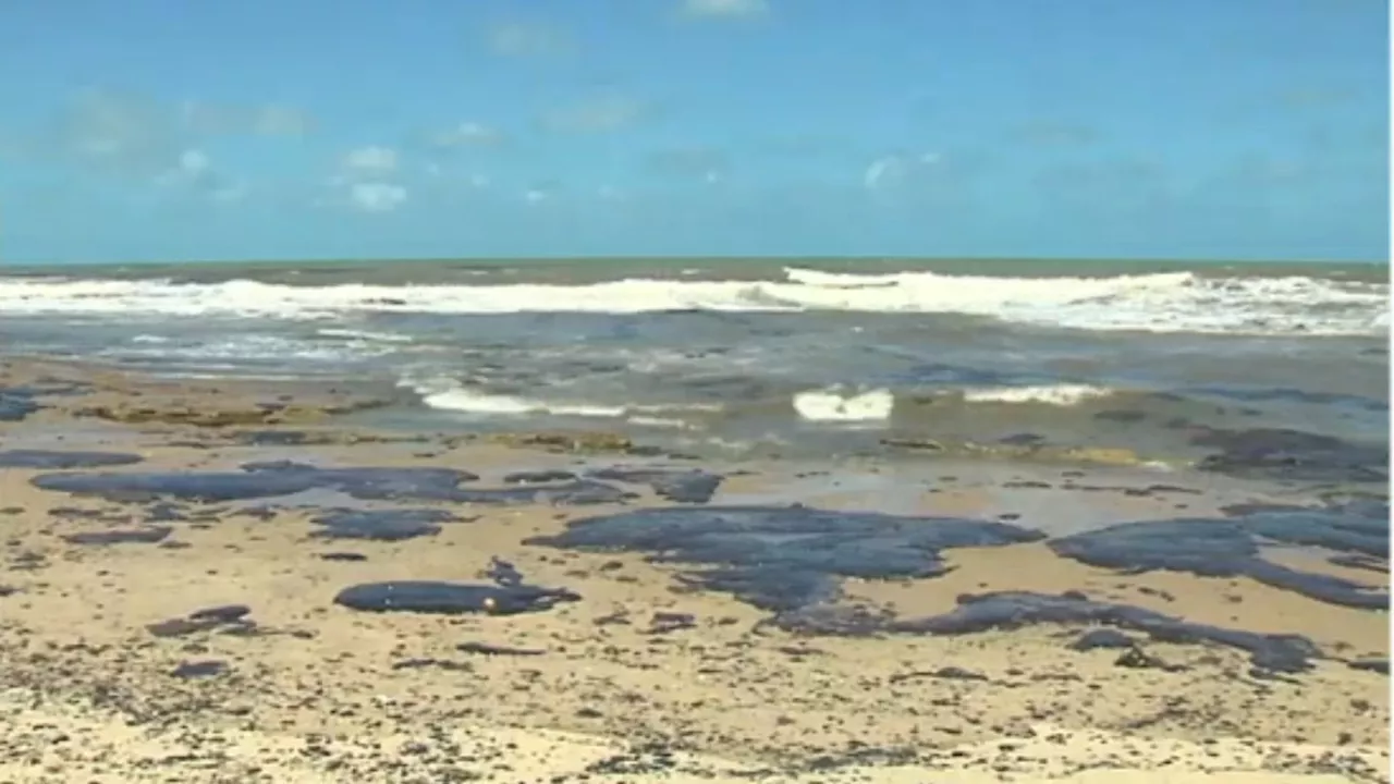 Pescadores ainda sofrem com vazamento de óleo no Nordeste de 2019