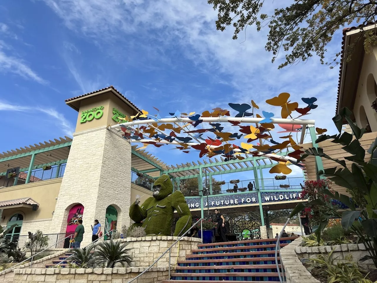 San Antonio Zoo celebrates frontline workers with free admission in September