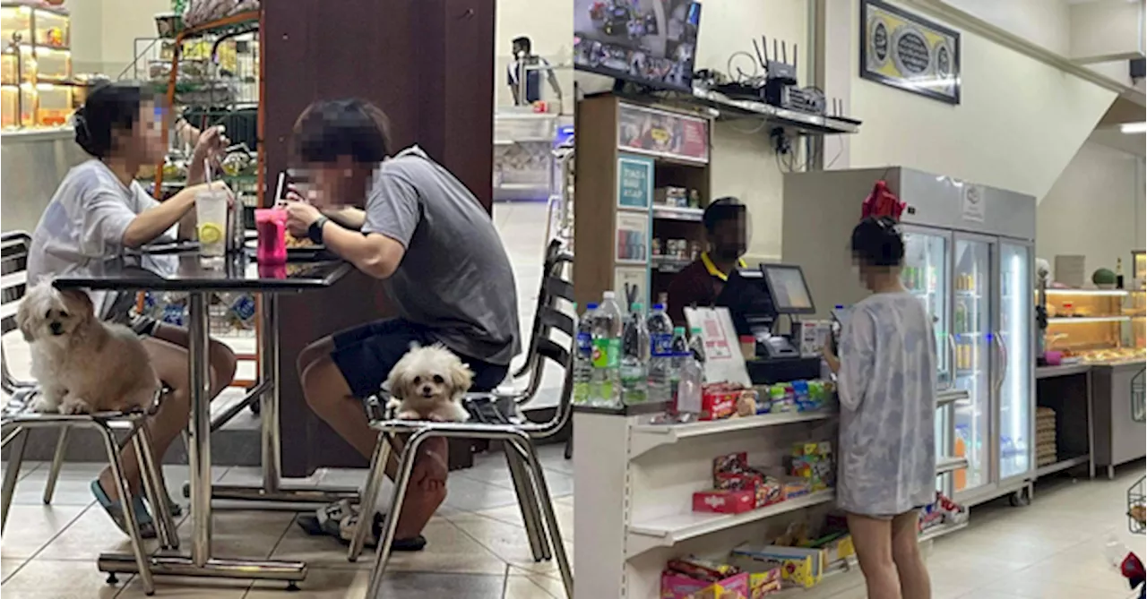 MBJB Orders Temporary Closure Of Mamak Restaurant After Couple Brings Pet Dogs Inside