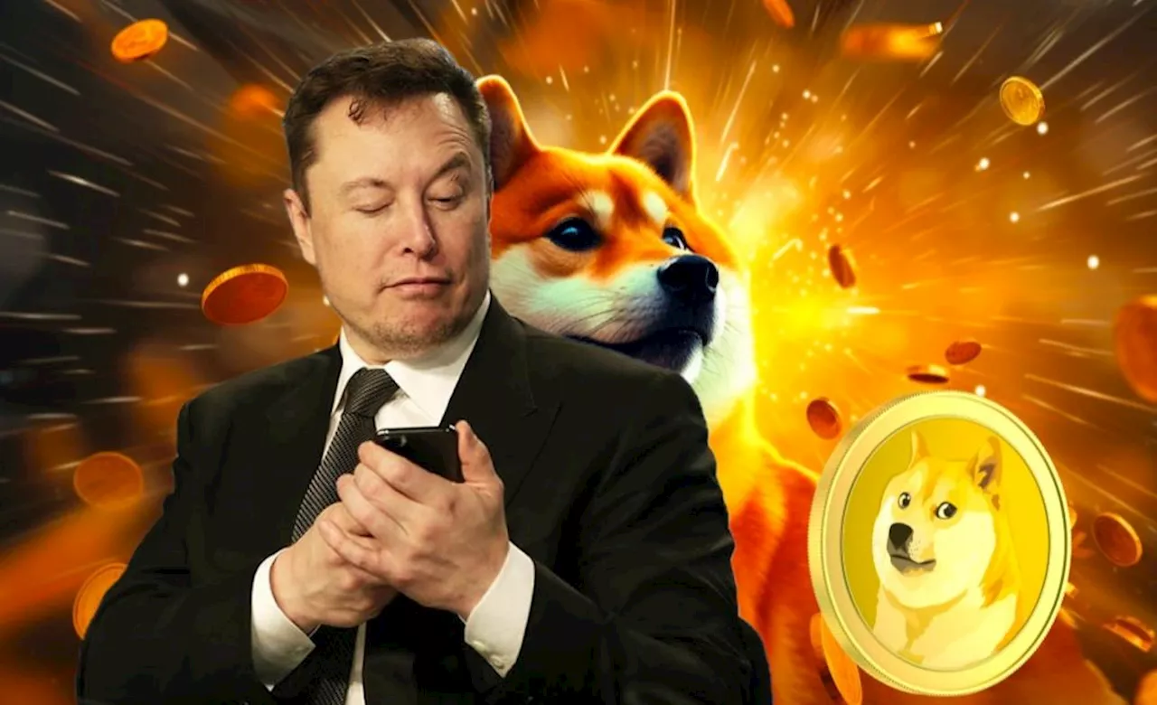 Elon Musk และ Tesla ชนะคดีปั่นราคา Dogecoin ที่ฟ้องเรียกค่าเสียหายกว่า 258,000 ล้านดอลลาร์ !