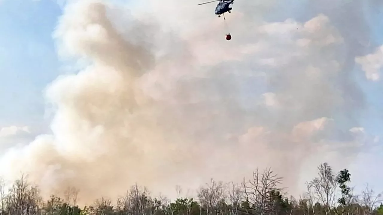 Brände: Waldbrand bei Jüterbog ausgebreitet: Experte optimistisch