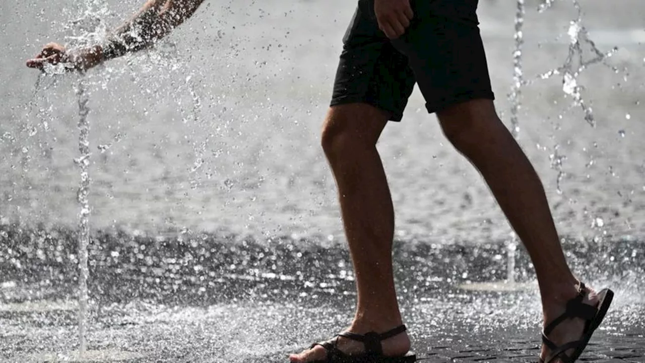 Wetter-Bilanz: DWD-Bilanz: Sommer in Hessen zu warm