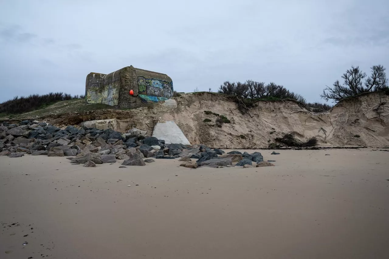 « Ce sont les derniers témoins de la Seconde Guerre mondiale » : les blockhaus victimes des pillages autant que de l’érosion