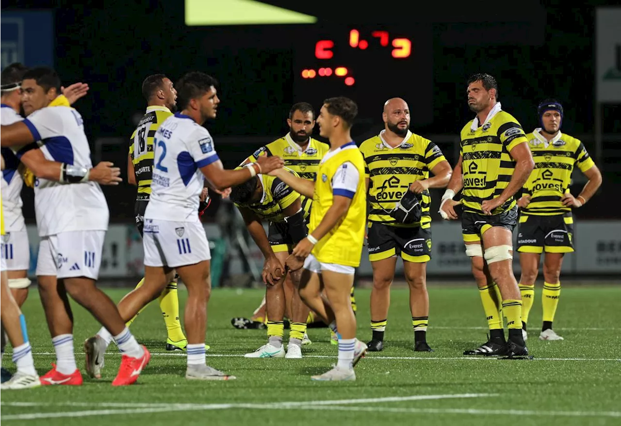 Stade Montois. « C’est une petite claque » : les réactions après la défaite contre Colomiers