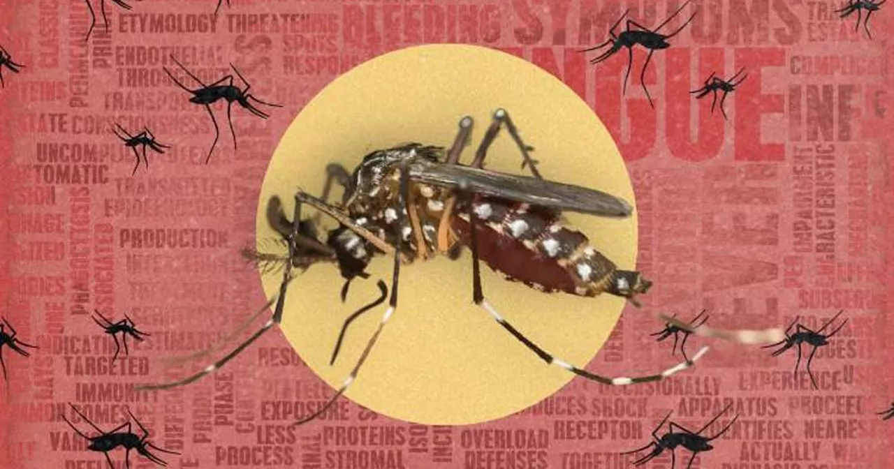 Dengue cases in Tagum swell