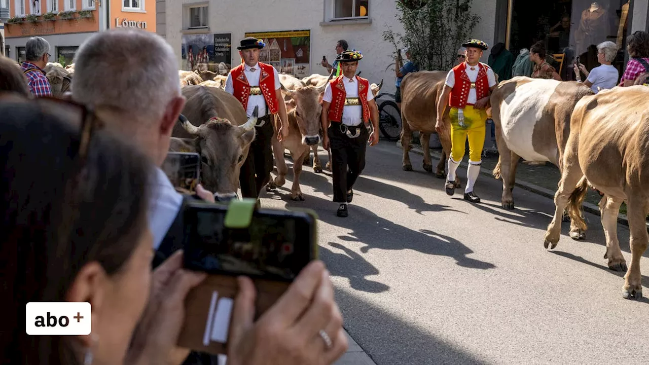 Der Alpabzug mitten in Appenzell ist ein Spektakel – trotzdem wird er nicht touristisch vermarktet