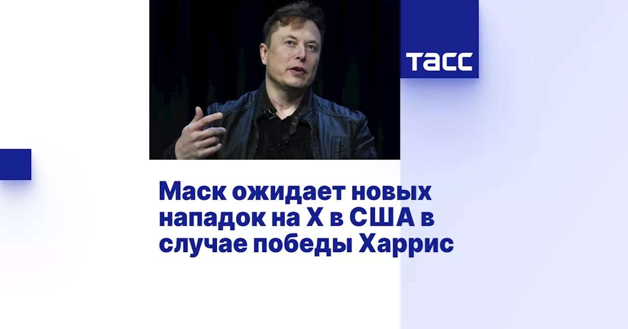 Маск ожидает новых нападок на X в США в случае победы Харрис