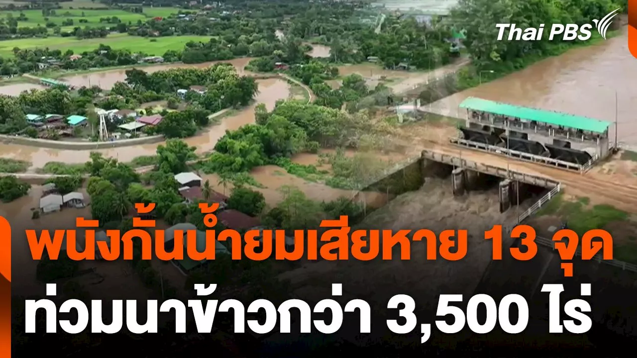 พนังกั้นน้ำยมเสียหาย 13 จุด ท่วมนาข้าวกว่า 3,500 ไร่