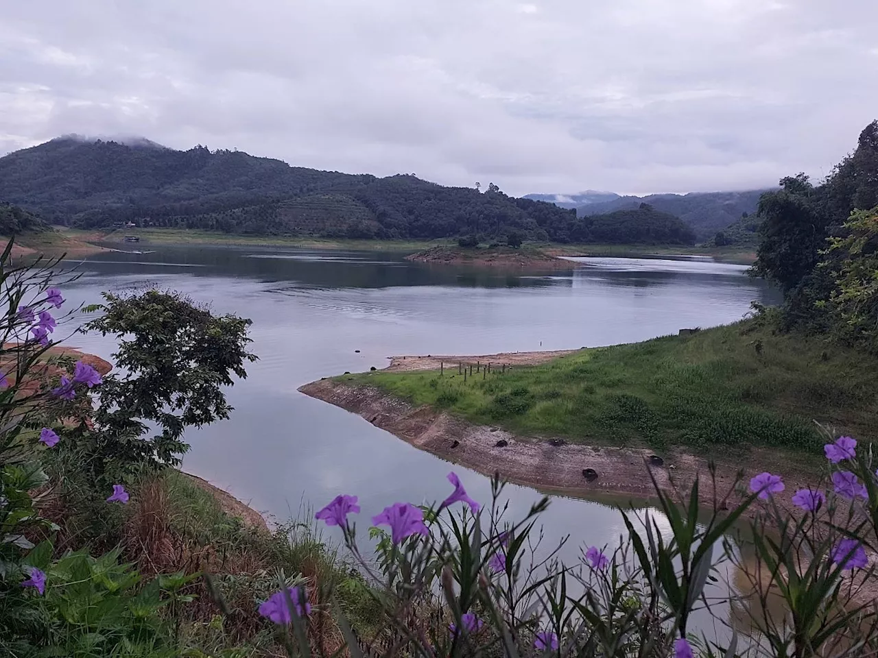 'ยะลา' ชวนสัมผัสธรรมชาติ 'ป่าฮาลา-บาลา' ชื่นชมทะเลหมอก สกายวอล์คอัยเยอร์เวง