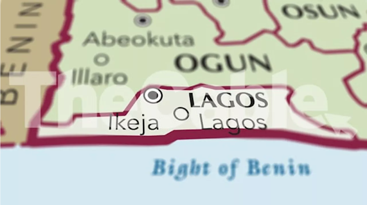 Lagos task force arrests 25 'hoodlums over attacks on motorists'