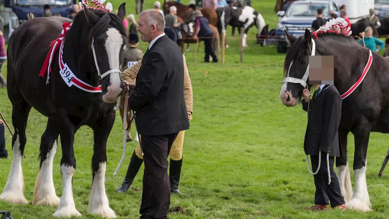 Hobby horses set to replace real steeds at historic country show over health and safety concerns...