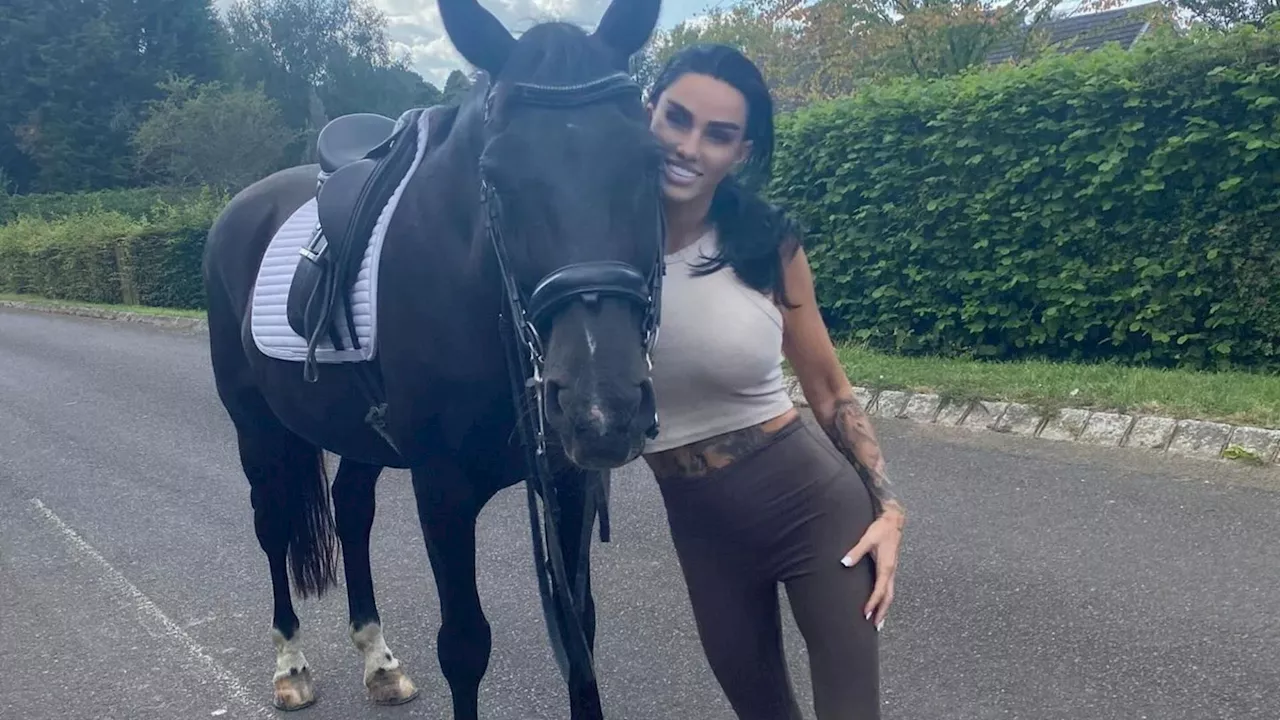 Katie Price fans spot disturbing ‘missing’ detail in new snap – accusing her of a photoshop fail...