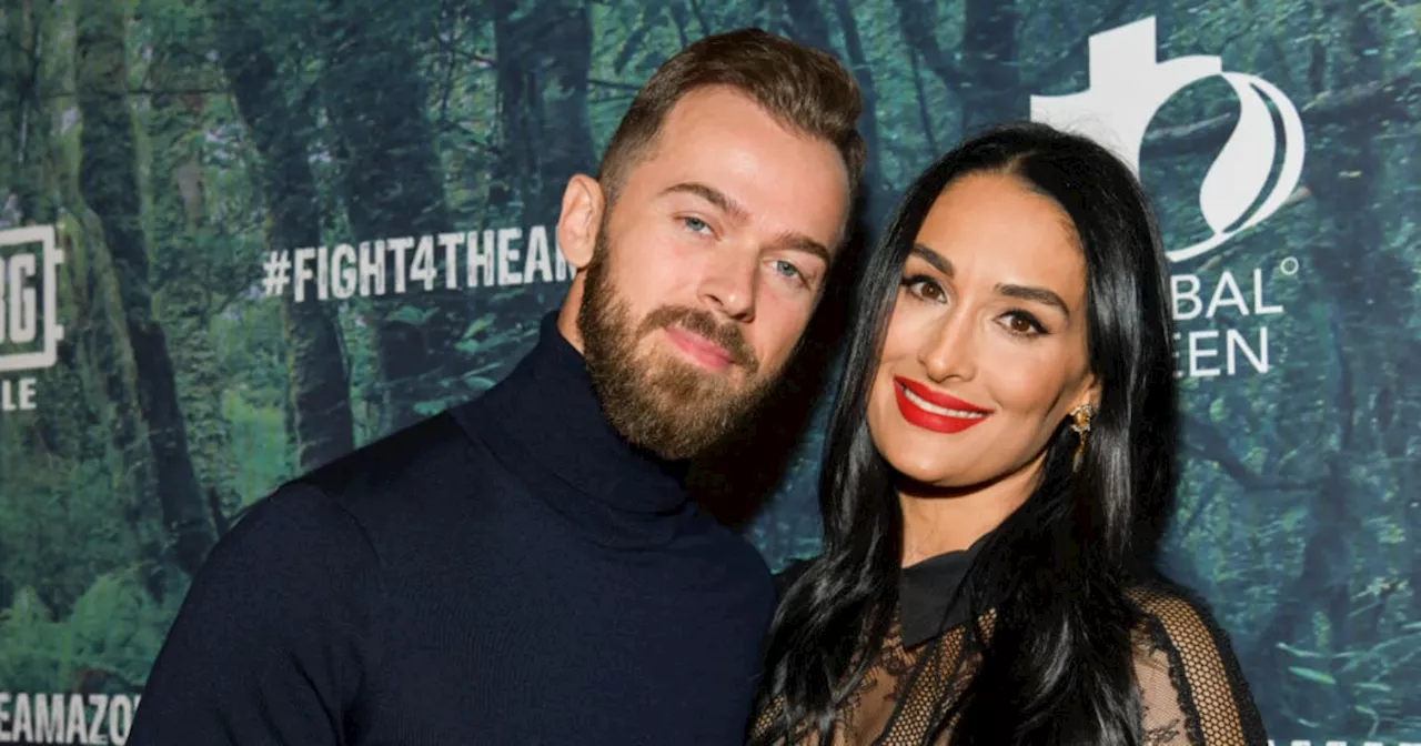 Artem Chigvintsev and Nikki Bella's Relationship Timeline