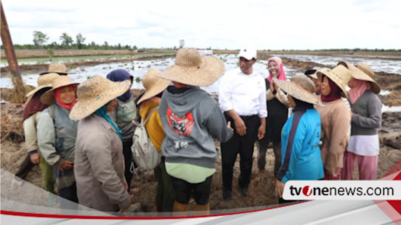 Mentan Amran Gerak Cepat Pimpin Optimasi Lahan di Kalimantan Tengah