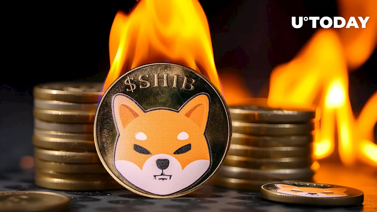 Shiba Inu Burn Rate Skyrockets 28,145% as SHIB Price Reacts Surprisingly