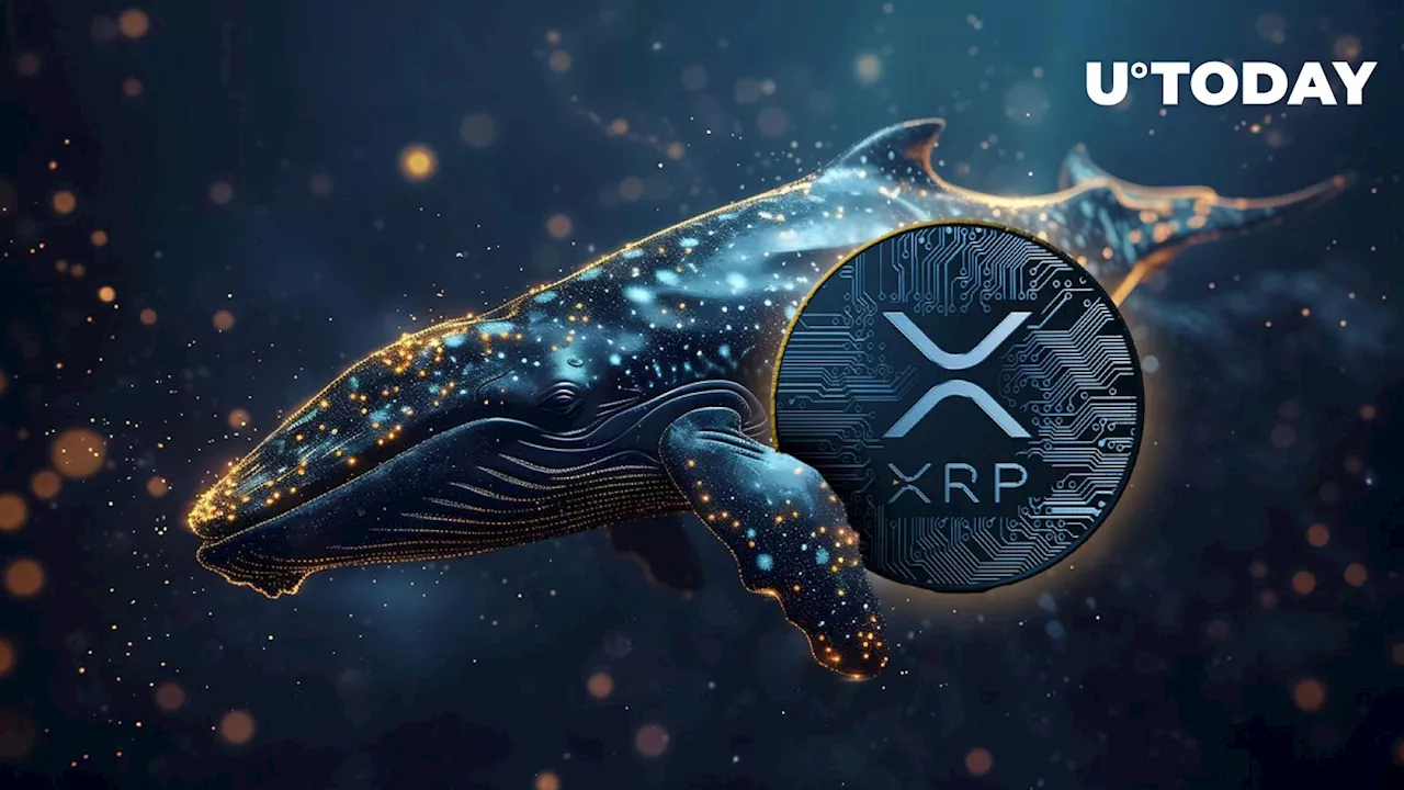 XRP Whales Stun Market With Two Unpredictable Transfers