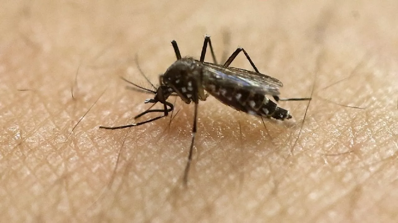 Wisconsin and Illinois report first West Nile virus deaths of 2024