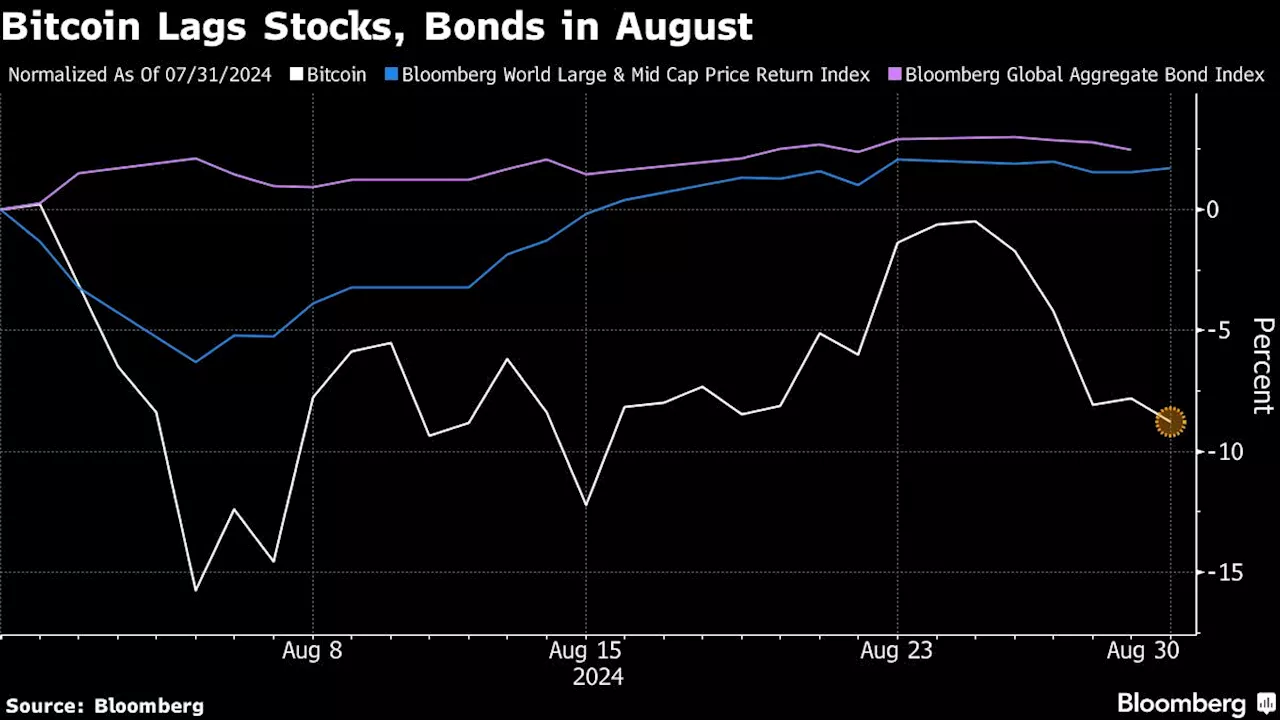 Bitcoin Whales Viewed as Potential Sellers Unnerve the Crypto Market