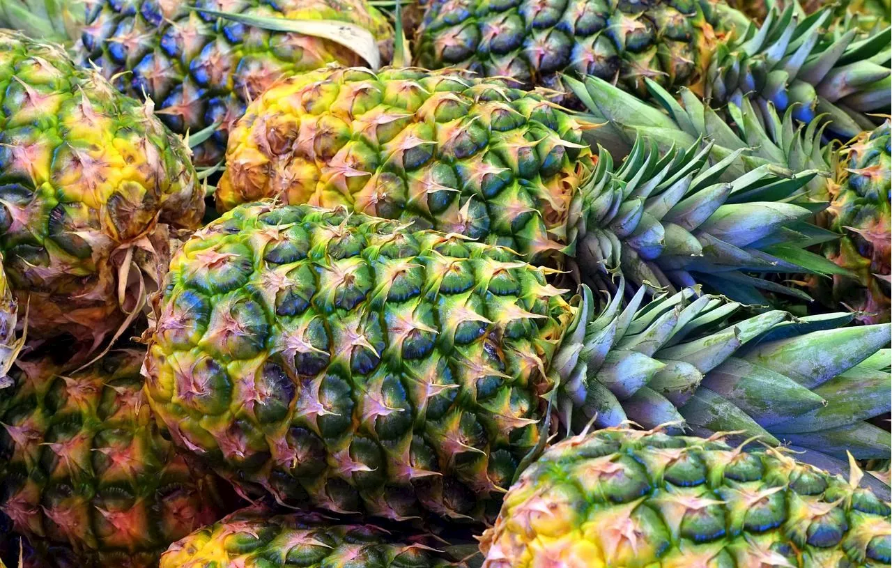 L’ananas retourné dans le caddie, la nouvelle tendance popularisée par TikTok pour draguer en Espagne