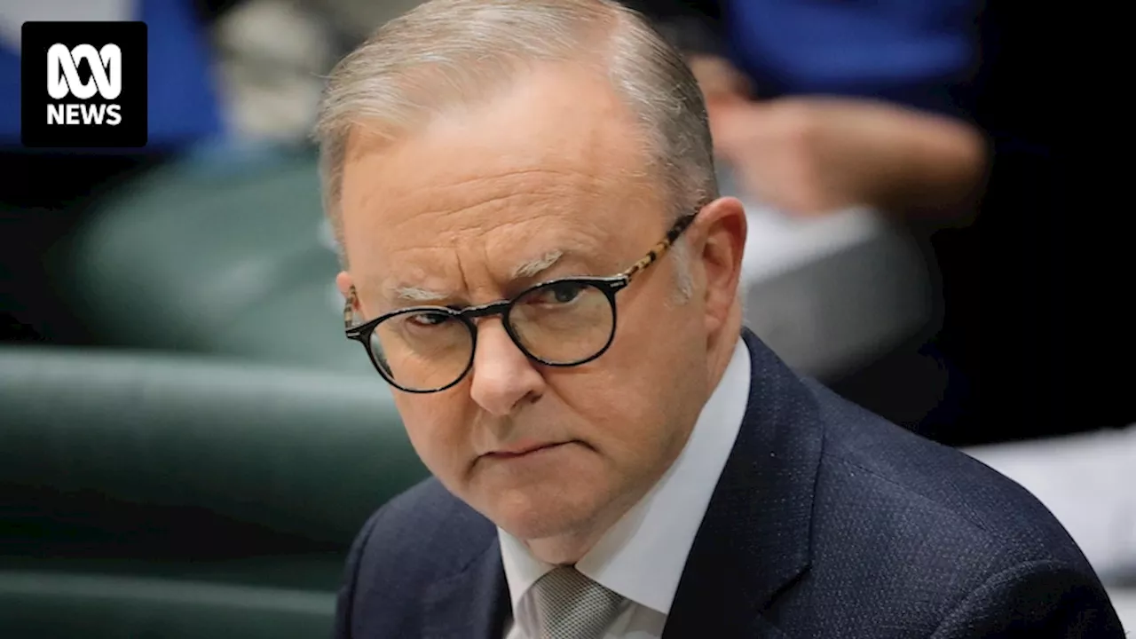 Anthony Albanese insists Labor has not changed stance on LGBTQI+ questions in census