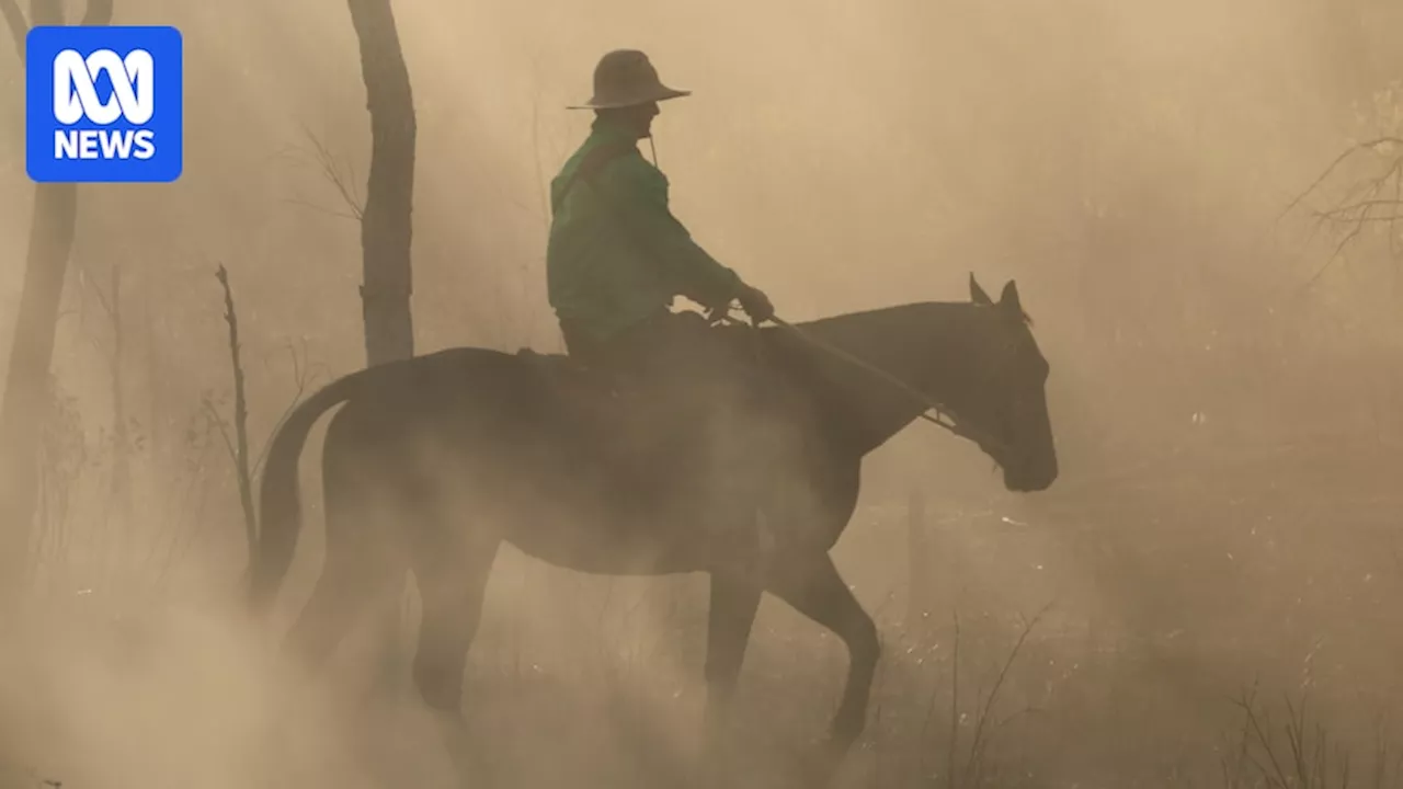 Mustering at McArthur River Station is a noisy mix of dust, dirt, and expert horse skills