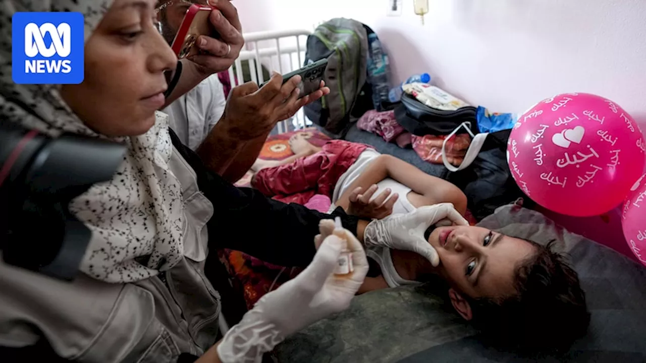 Polio vaccine campaign begins in Gaza, as hostilities continue to worsen in West Bank