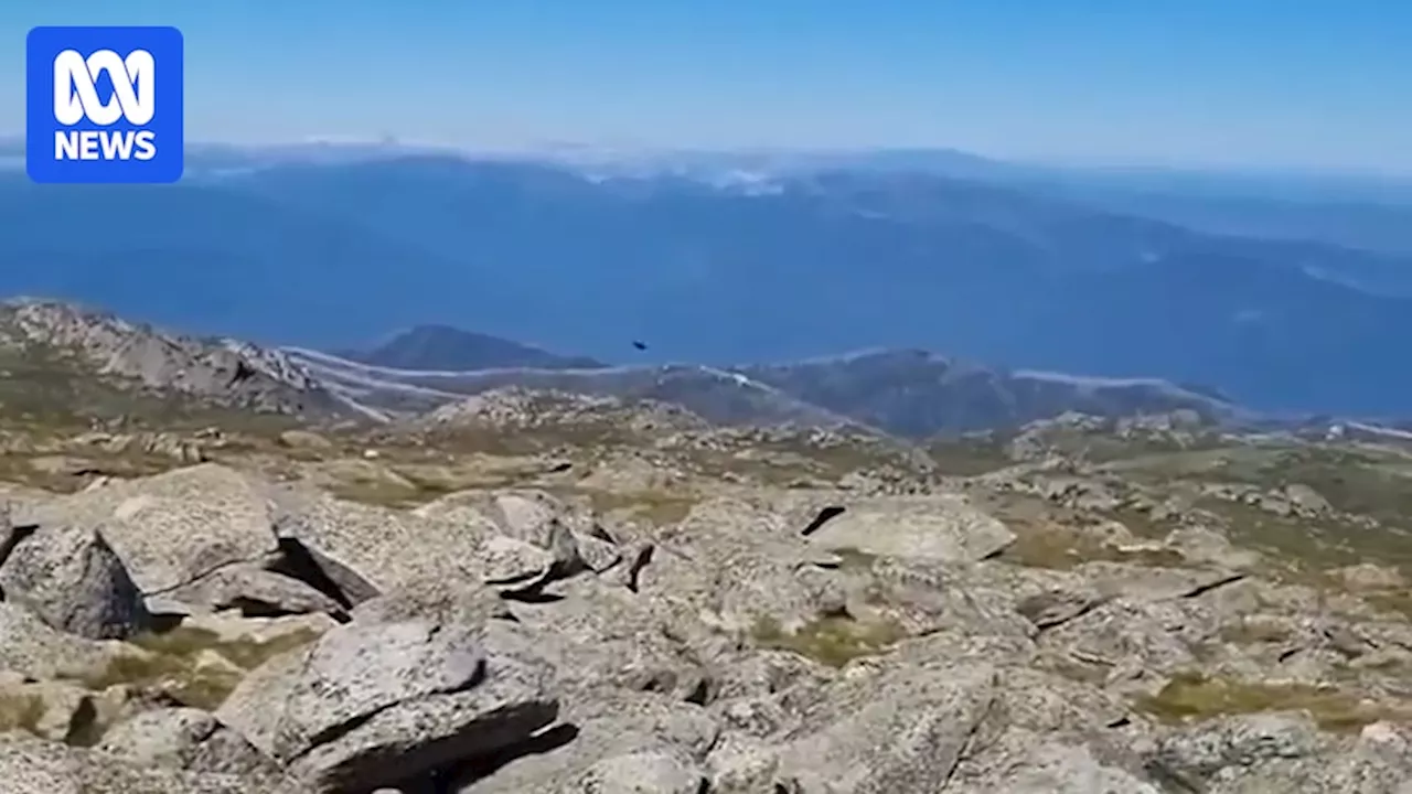 Video shows daring F-35A flight training manoeuvres being performed over Kosciuszko National Park