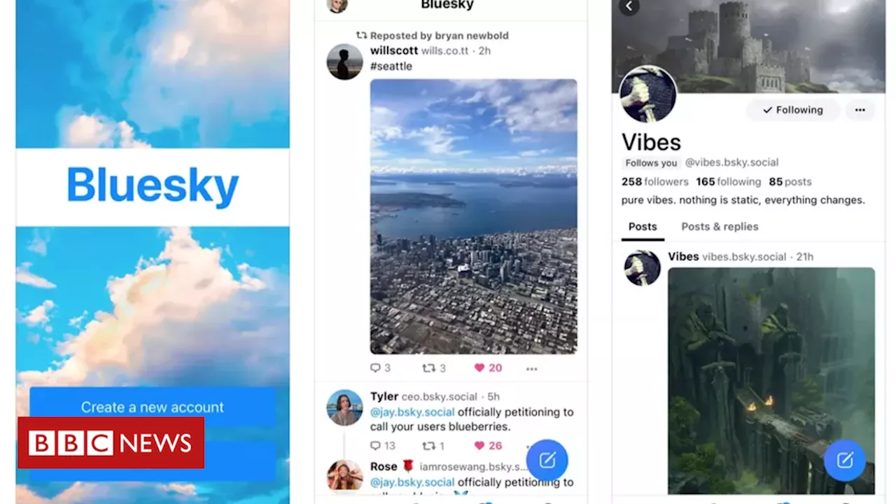 Bluesky: a rede social que conseguiu um milhão de usuários e bateu recordes de interações após bloqueio do X no Brasil