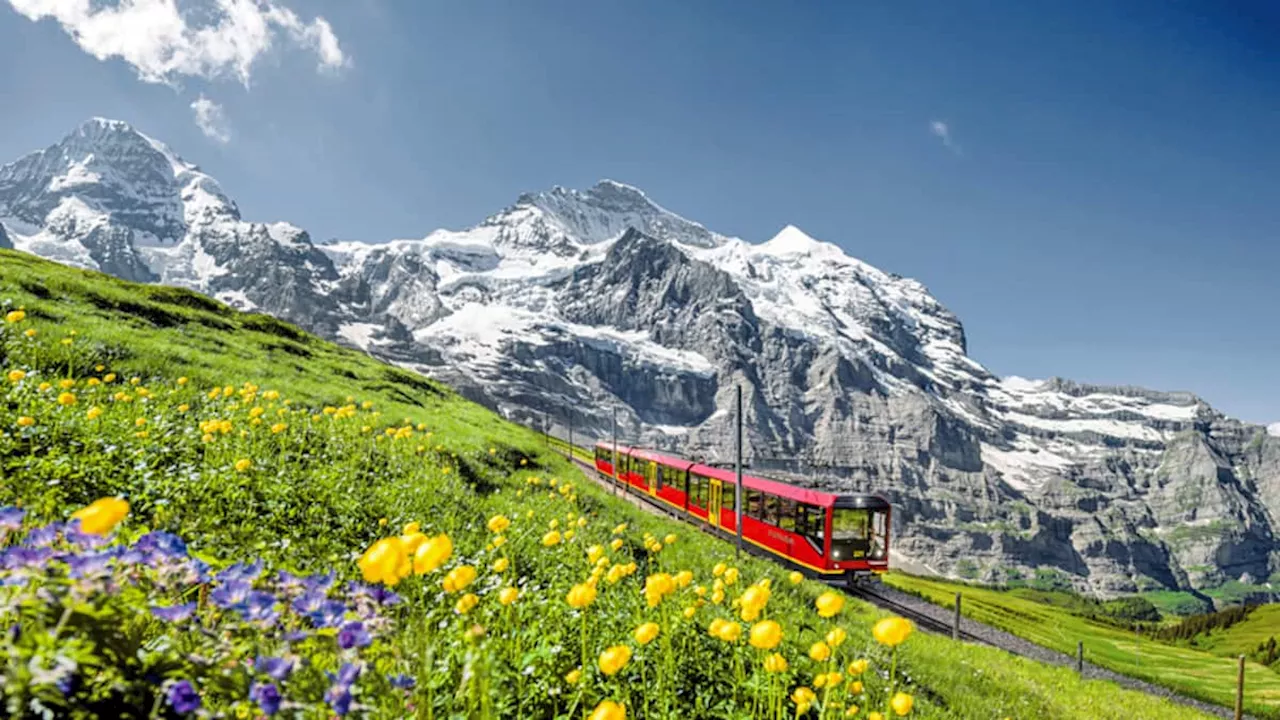 Jungfraubahnen befördern mehr Gäste im ersten Halbjahr