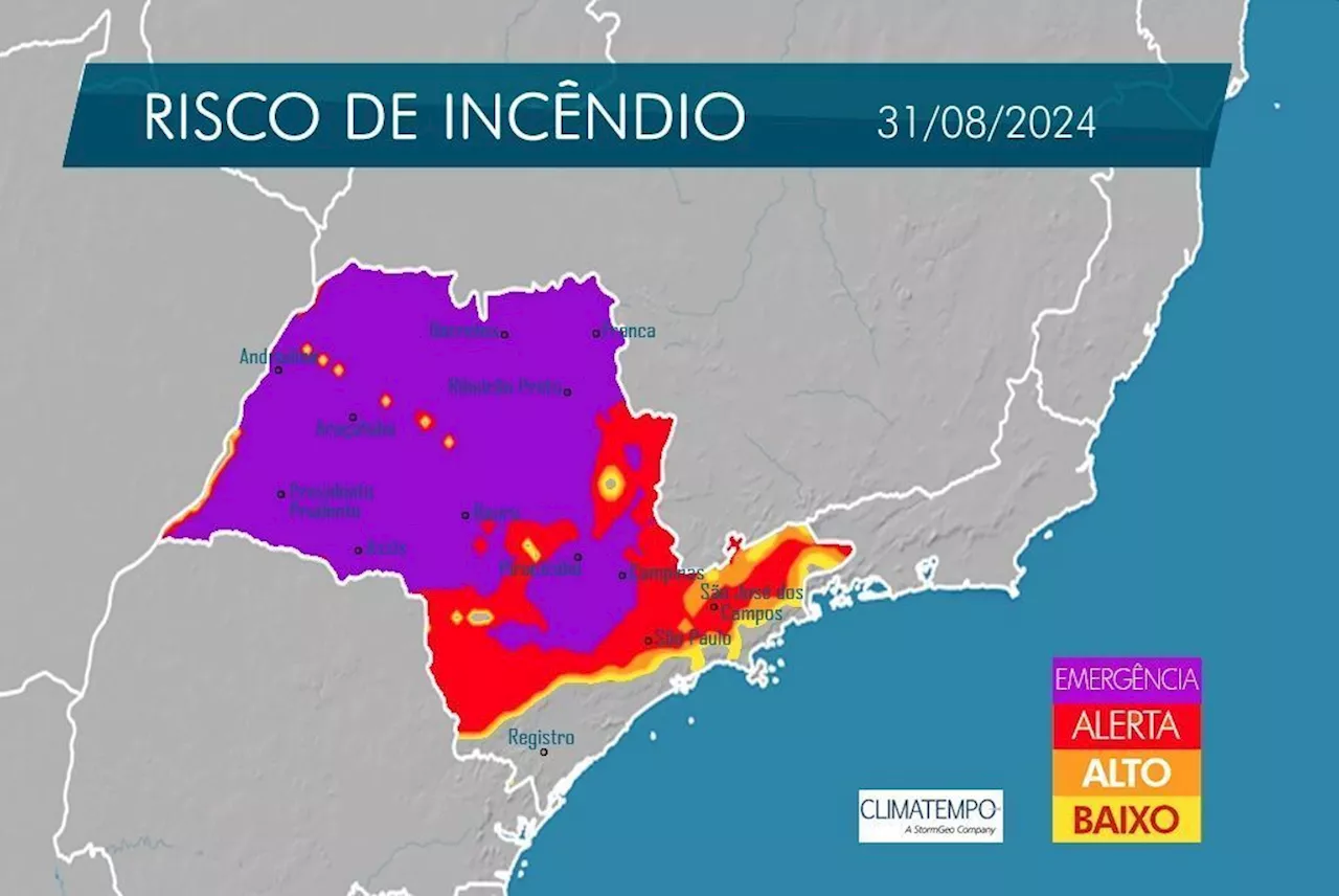 Incêndios em SP: sete cidades estão com focos ativos, diz Defesa Civil