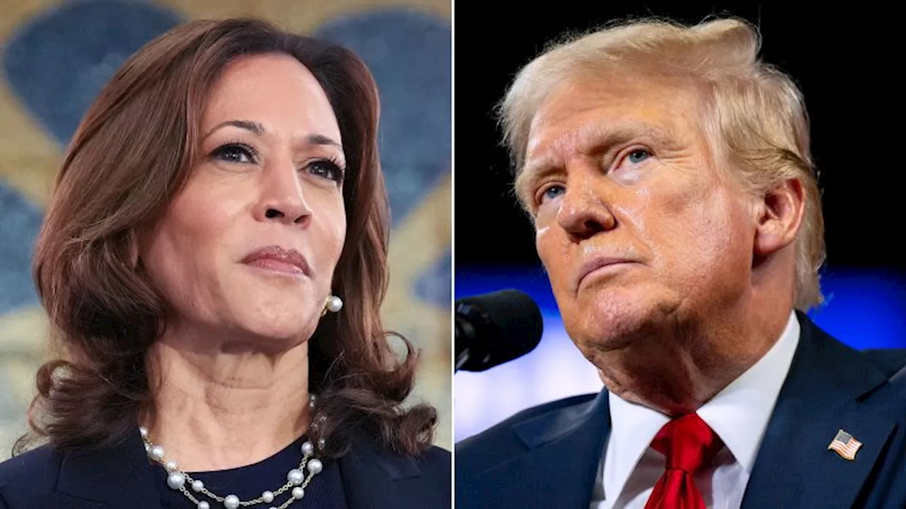 Harris slams Trump for incident at Arlington National Cemetery