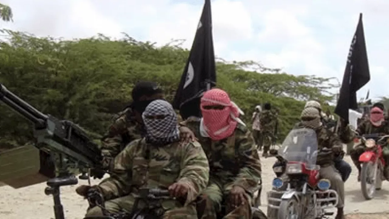 Boko Haram members attack Yobe school, kill three students