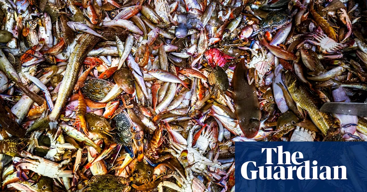 A day in the life of a Queensland prawn trawler