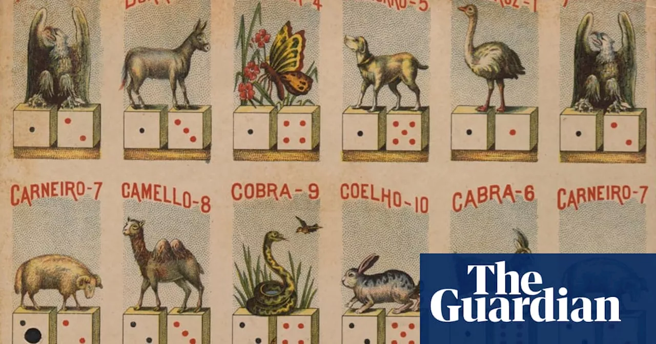 Jogo do Bicho: Brazil’s popular illegal animal lottery is losing its bite