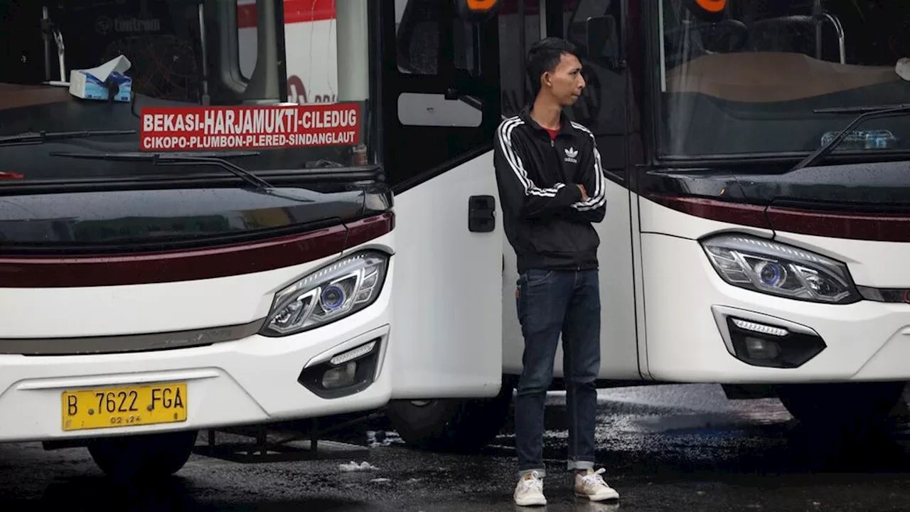 Permintaan Naik, Bus Pariwisata Mengaspal Bersamaan demi Bersua Paus Fransiskus