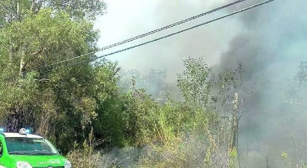 Lancia un ordigno nel bosco e scoppia l'incendio: preso