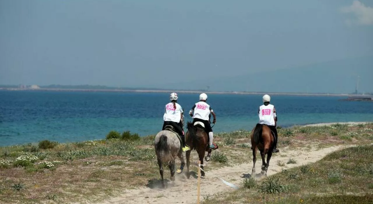 Sardegna Endurance Festival 2024, cavalli da tutto il mondo ad Arborea