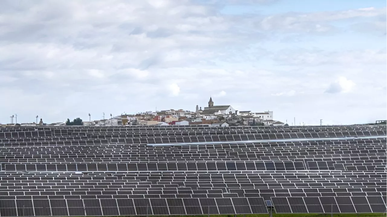 El coste de la fotovoltaica en Sevilla: 'Adiós a nuestros campos dorados'