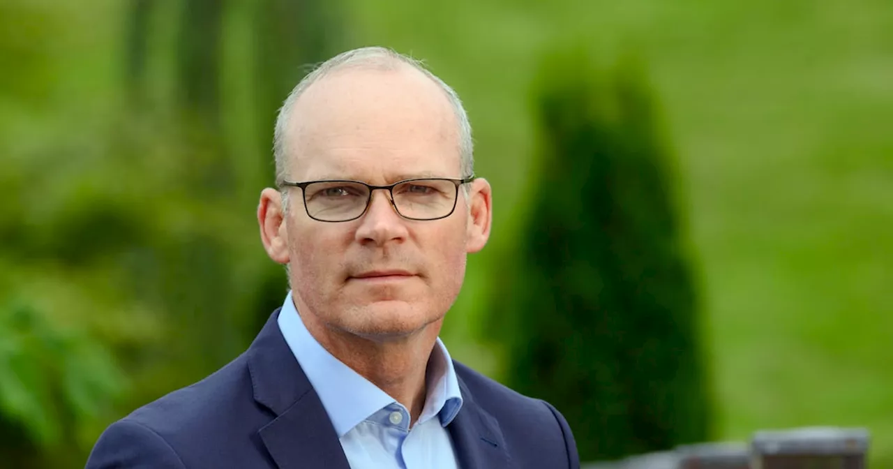 Idea of Sinn Féin in Áras should not impede voting rights, says Coveney