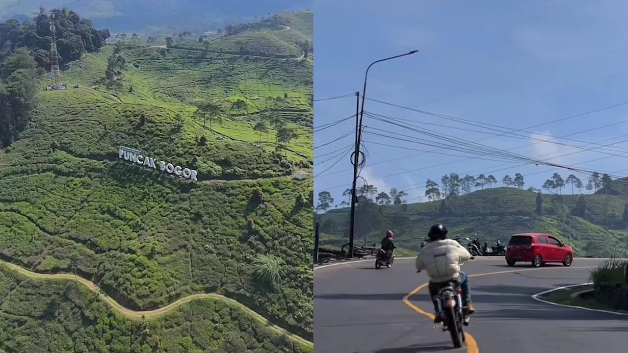 Kawasan Puncak Bogor Berubah Rapi Setelah PKL Ditertibkan, Warganet Hampir Tak Percaya