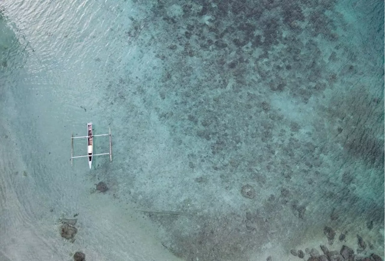 Tim Peneliti Internasional Temukan Keunikan dan Rahasia Karst Banggai