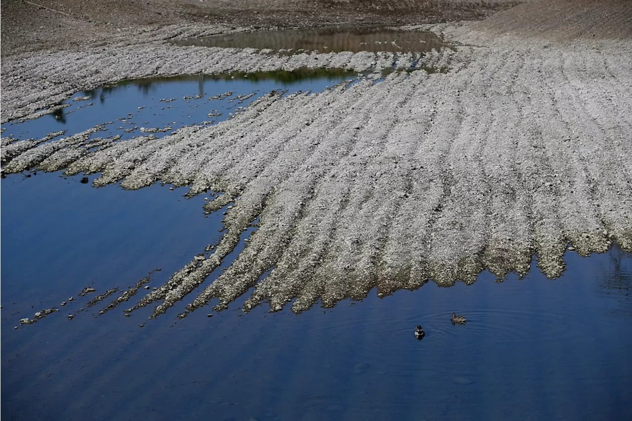 Californians to face steep fines for violating water orders under new legislation