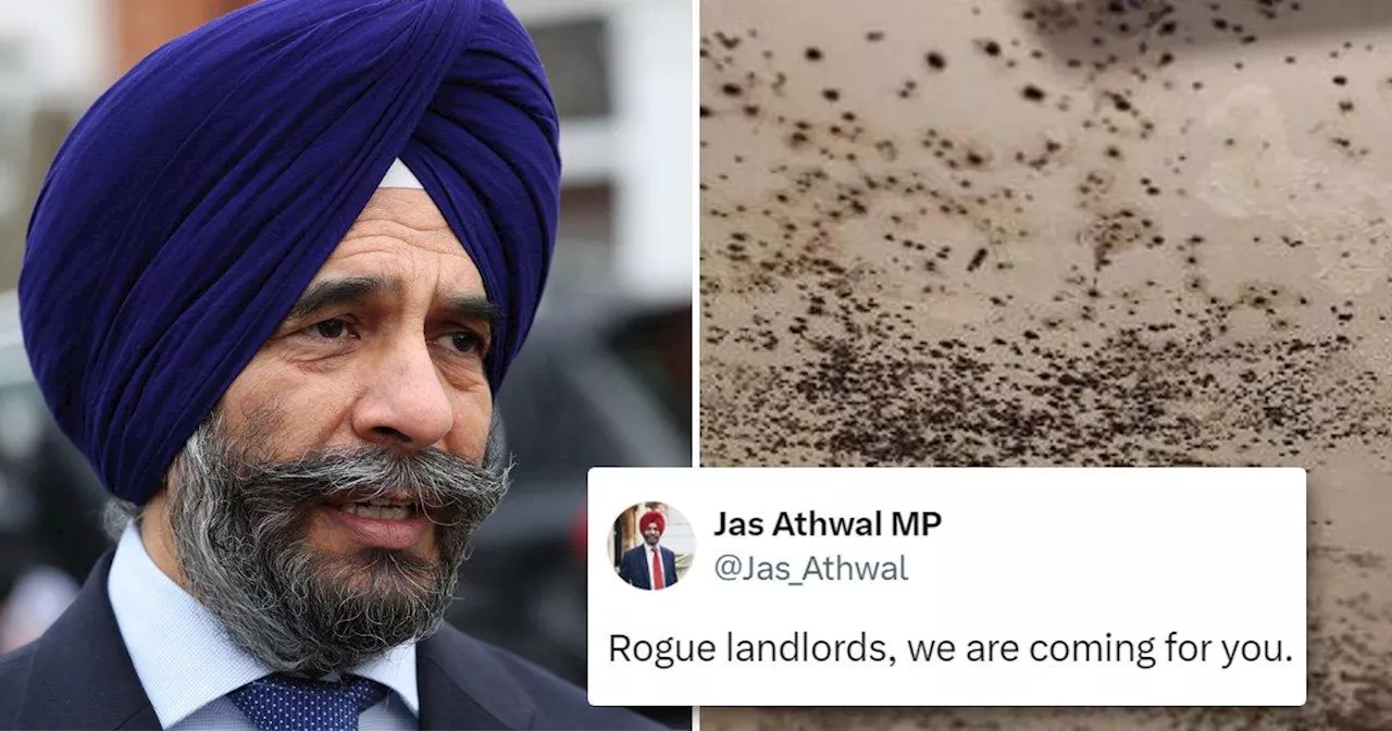 Labour MP accused of being rogue landlord promised to come for rogue landlords