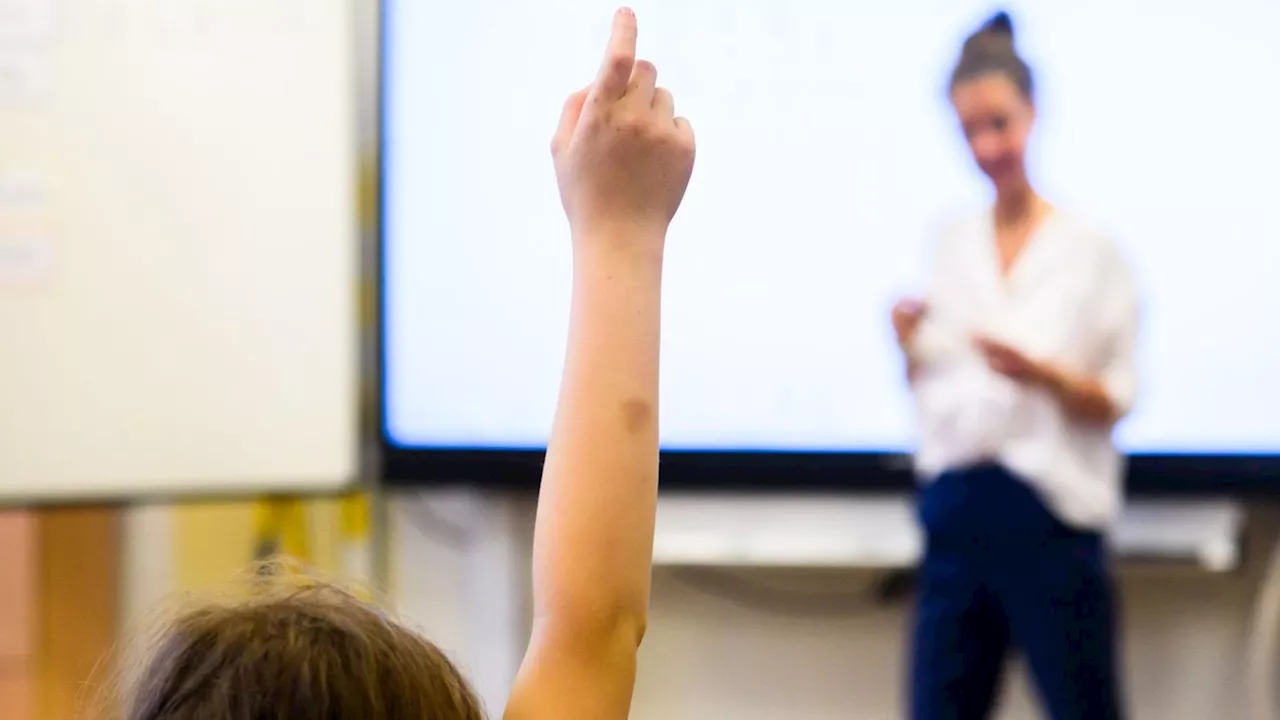 Forscher: „Wir geben den Kindern die Schuld für den Misserfolg“