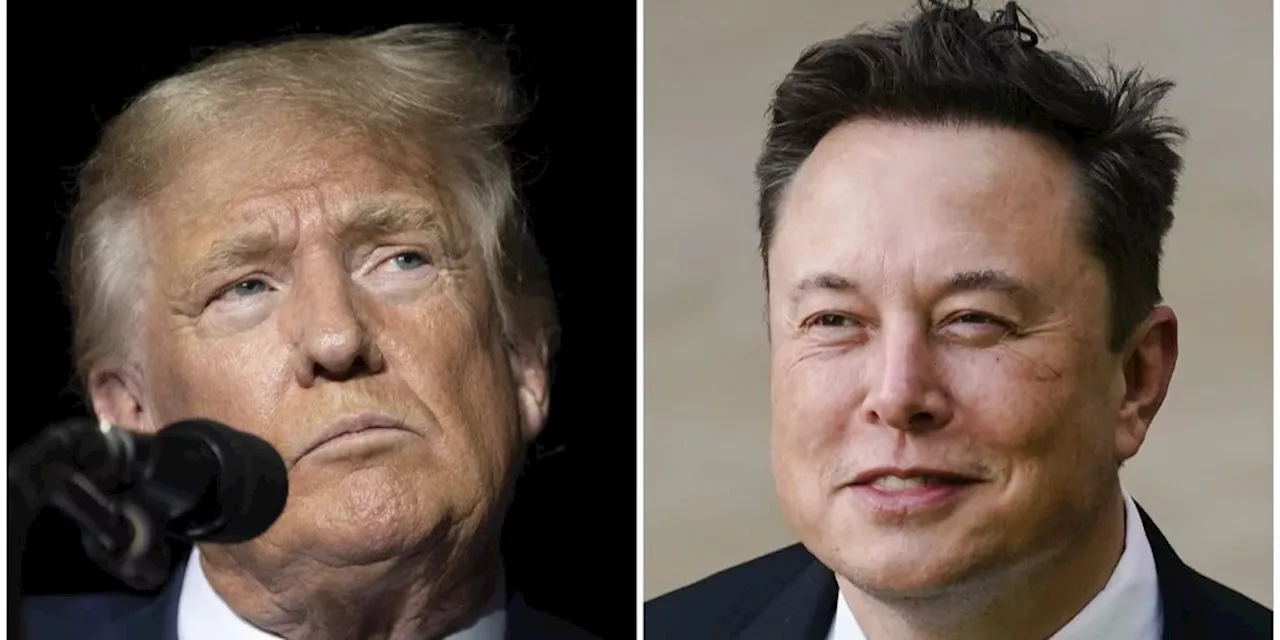 Trump kann sich weiteres Live-Gespräch mit Musk vorstellen