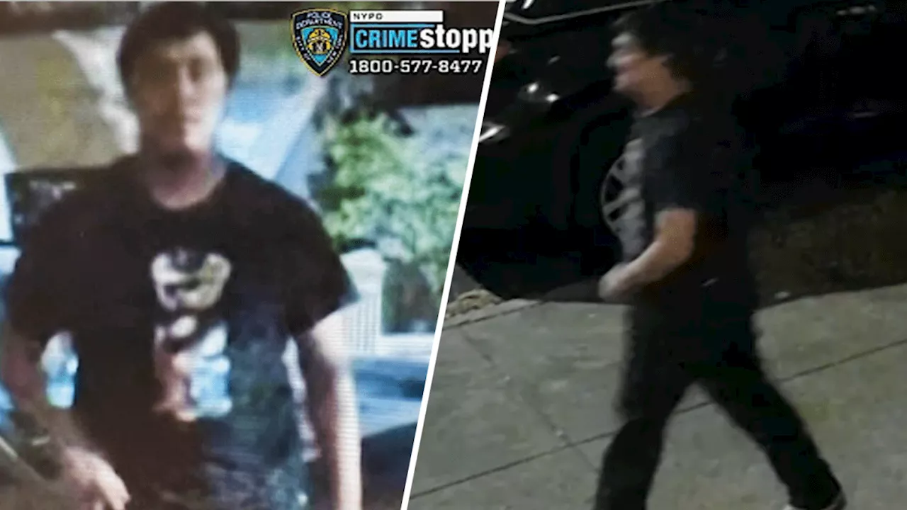 ‘Park Slope Prowler': Police search for serial groper sneaking up on women in Brooklyn