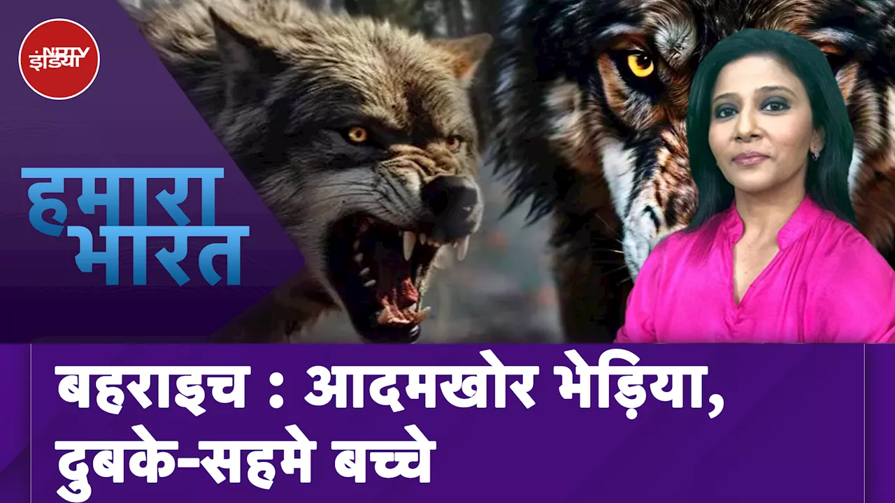 Bahraich Wolf Attack: आदमखोर का आतंक, बच्चे को उठा ले गया भेड़िया, पिता ने सुनाई दर्द भरी कहानी