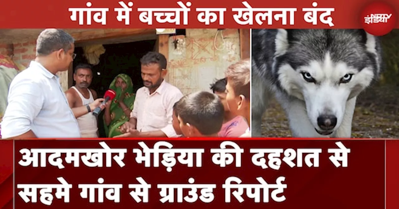 Bahraich Wolf Attack: आदमखोर भेड़िया की दहशत से सहमे गांव से NDTV Ground Report