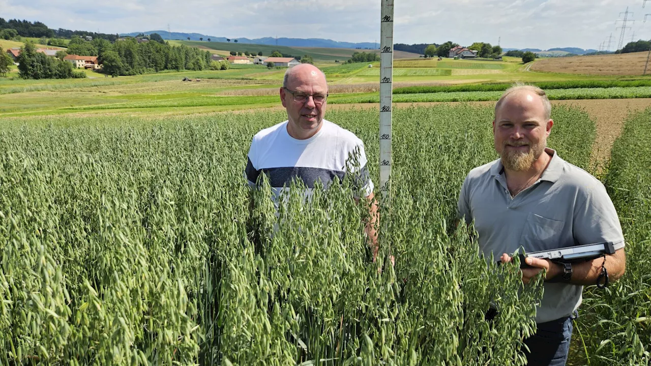 AGES-Versuchsstation in Grabenegg: Testanbau auf 6.000 Einzelparzellen